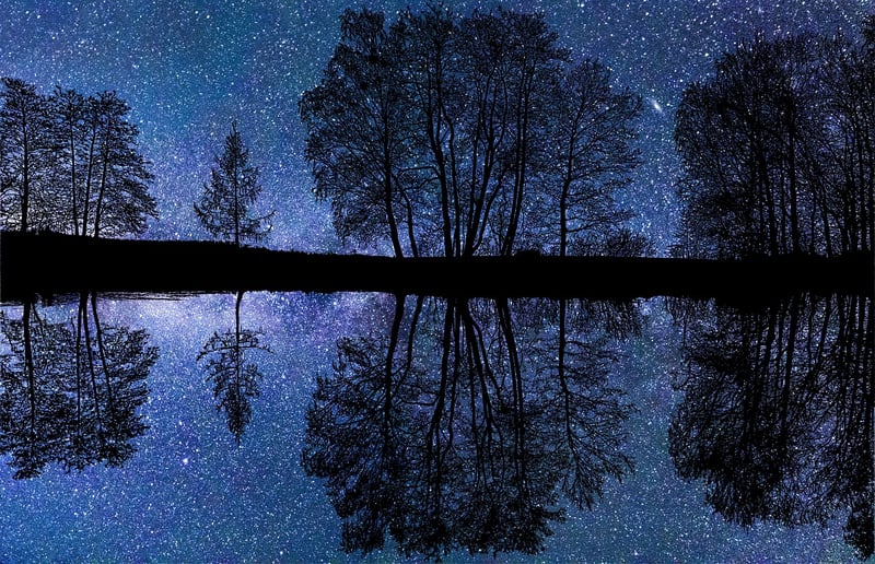Magical Groves