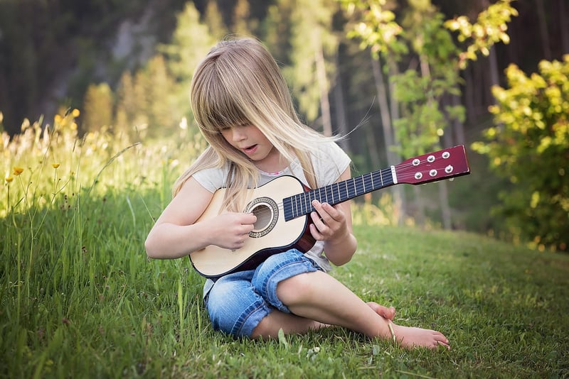 Acoustic Forest Music